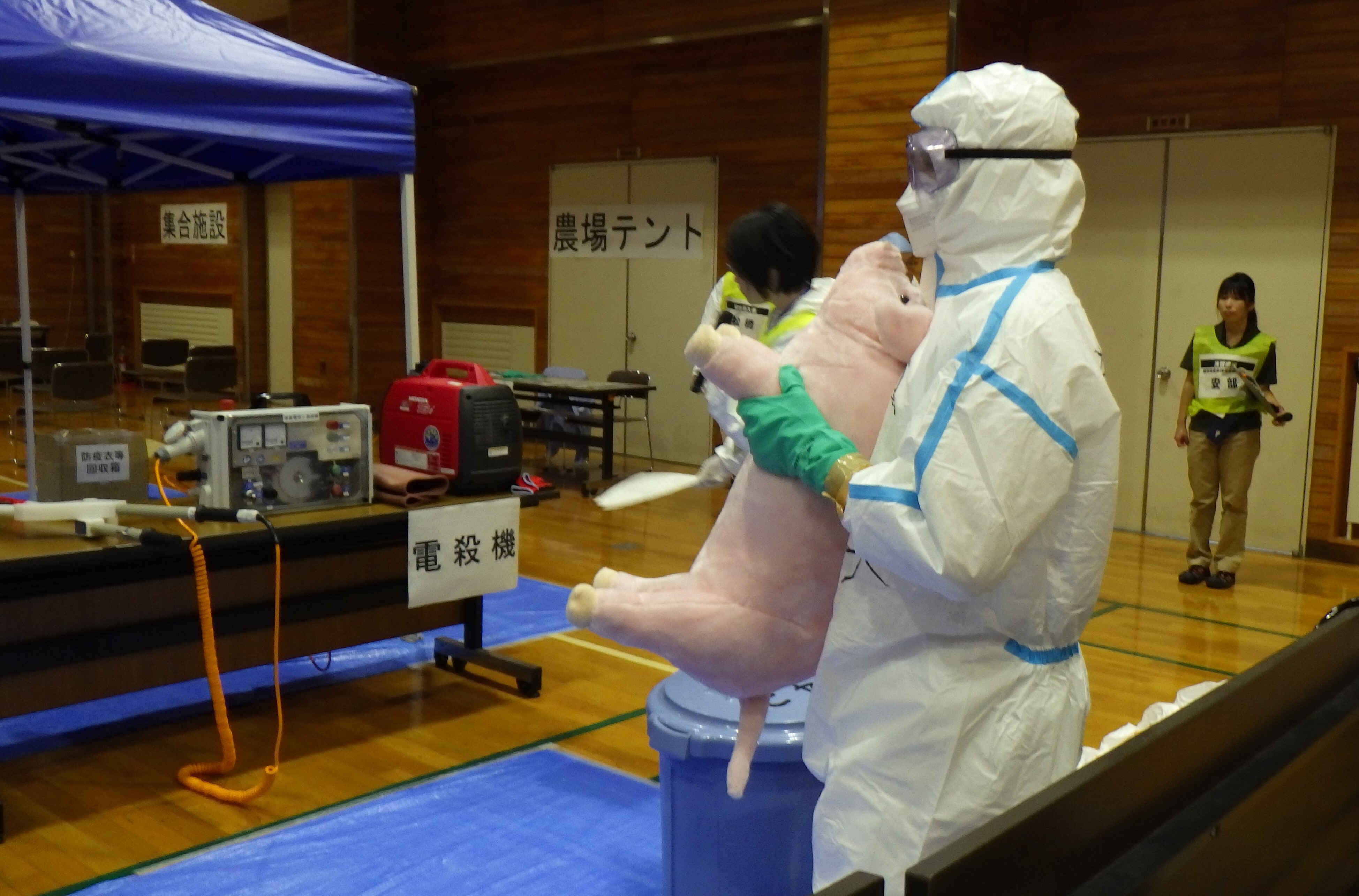 子豚の殺処分①