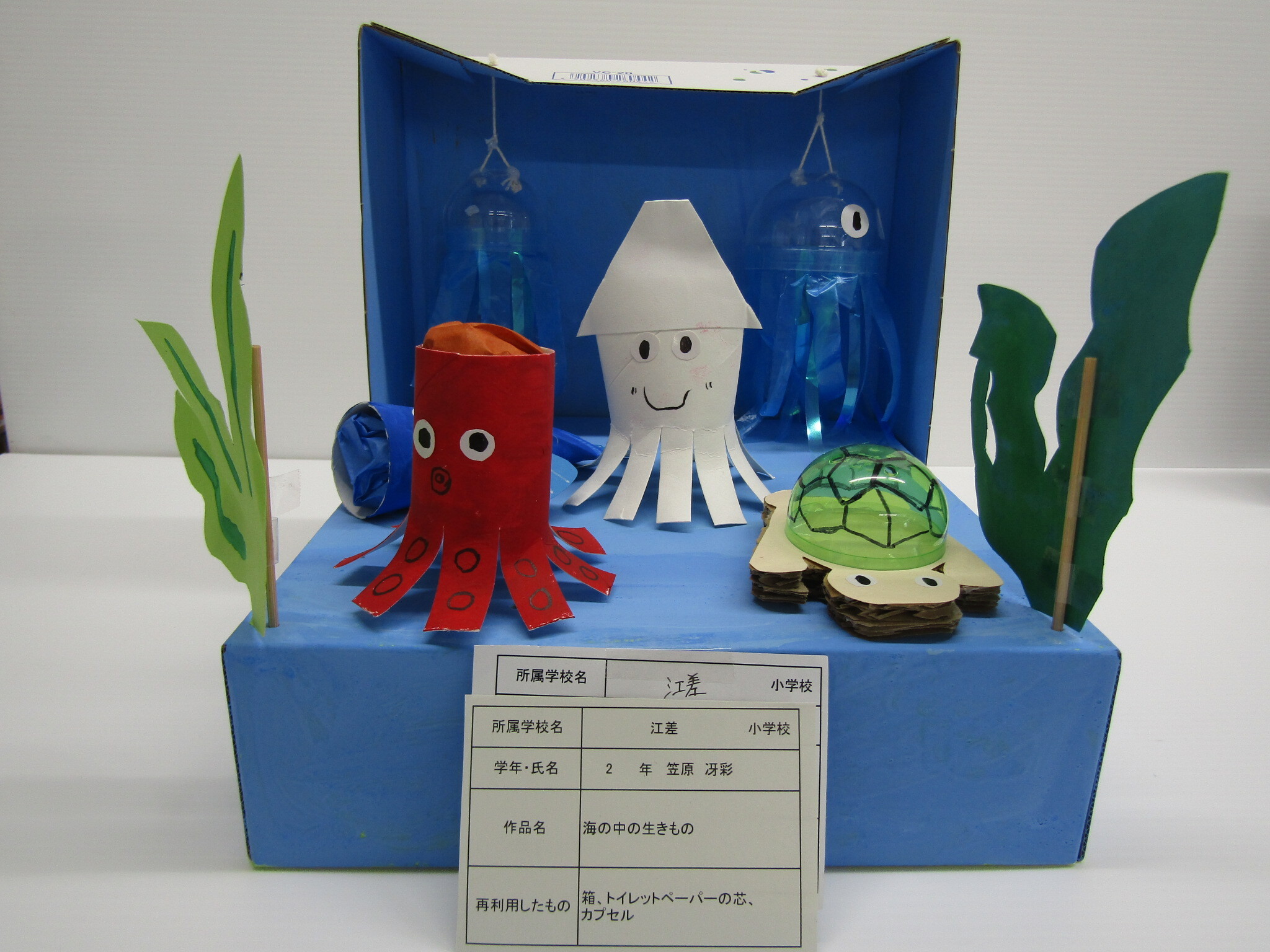 低・銅「海の中の生きもの.JPG