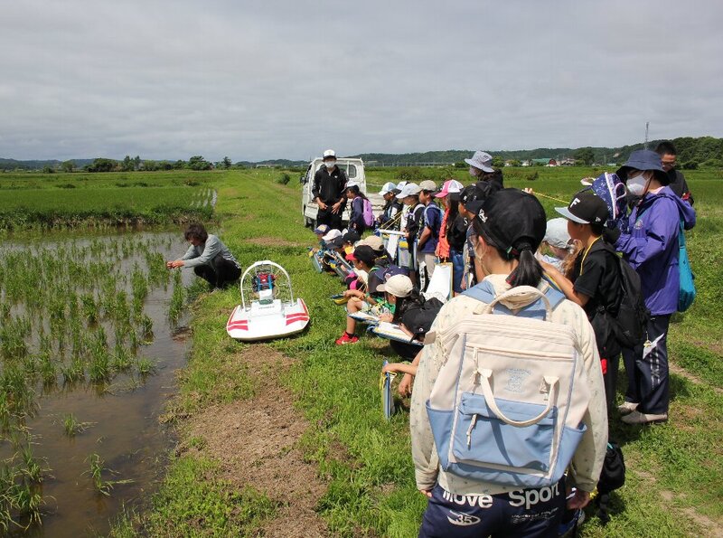 除草方法について学ぶ