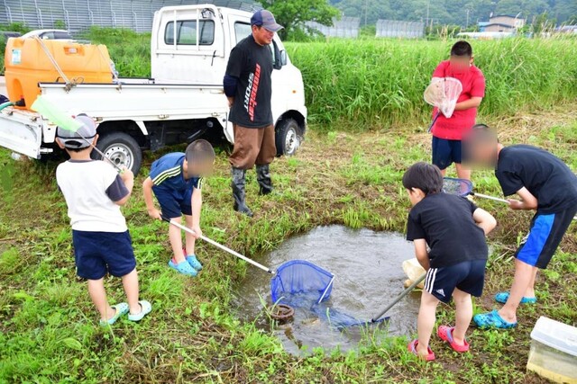 生き物観察