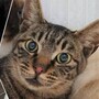 ジャム.jpg