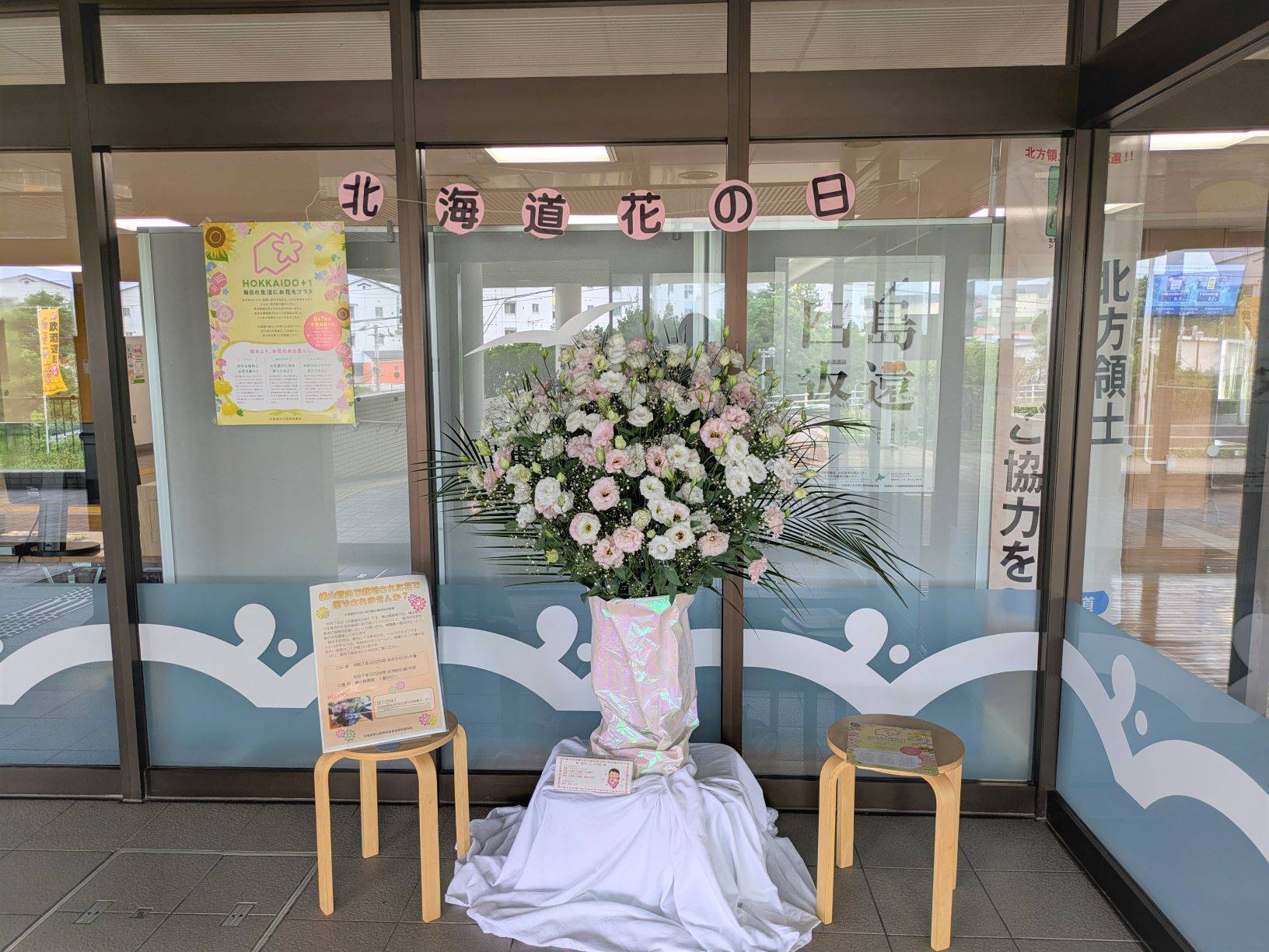 展示の様子