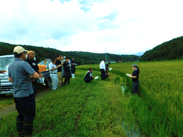 写真１