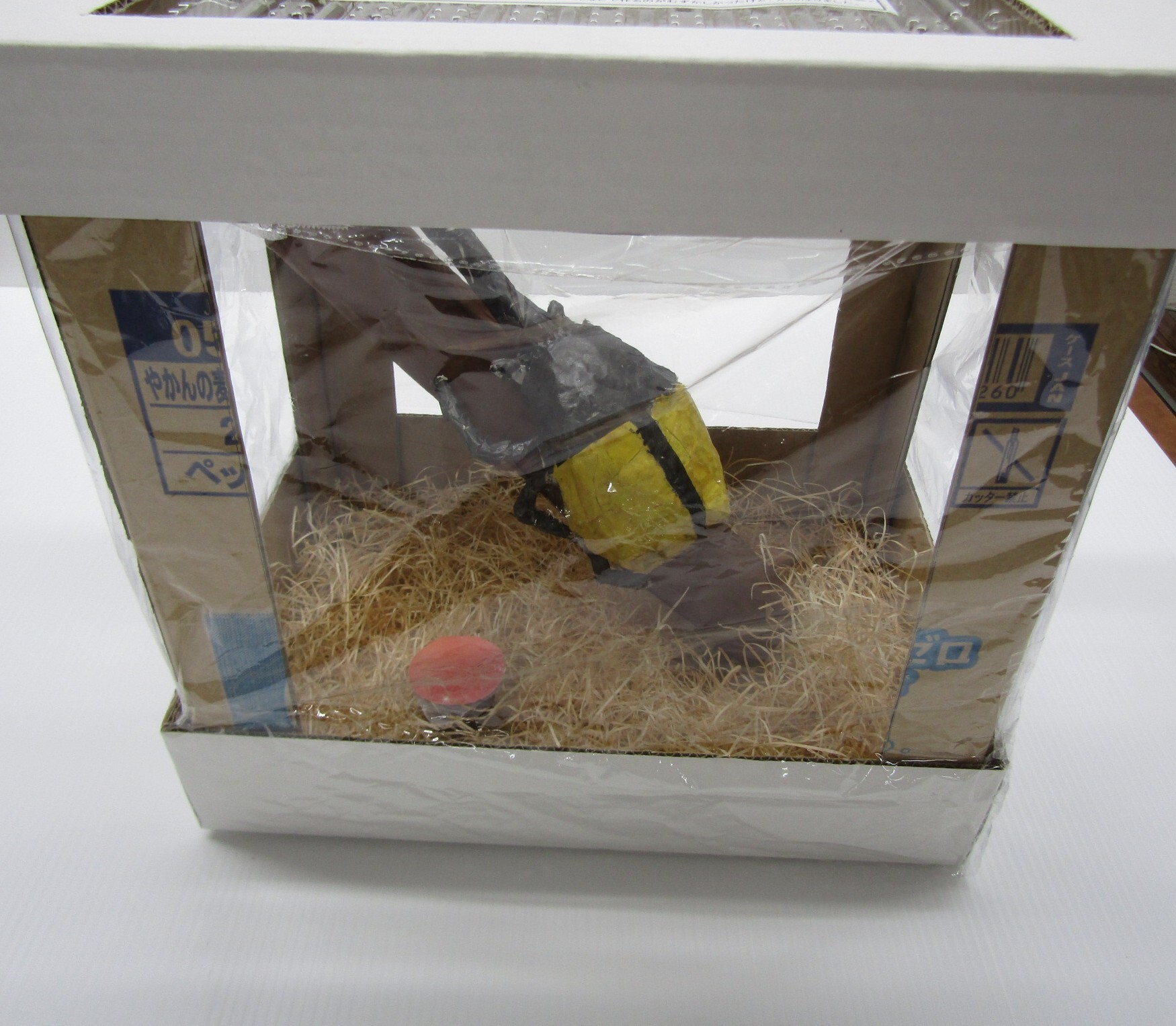 ヘラクレスオオカブトは木が大すき