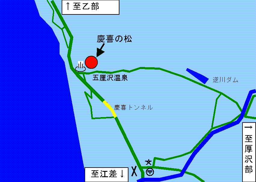 檜山の自然環境-記念保護樹木-慶喜の松を紹介するホームページです檜山の自然環境-記念保護樹木-慶喜の松を紹介するホームページです