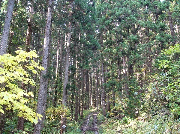 hogo02.jpg
