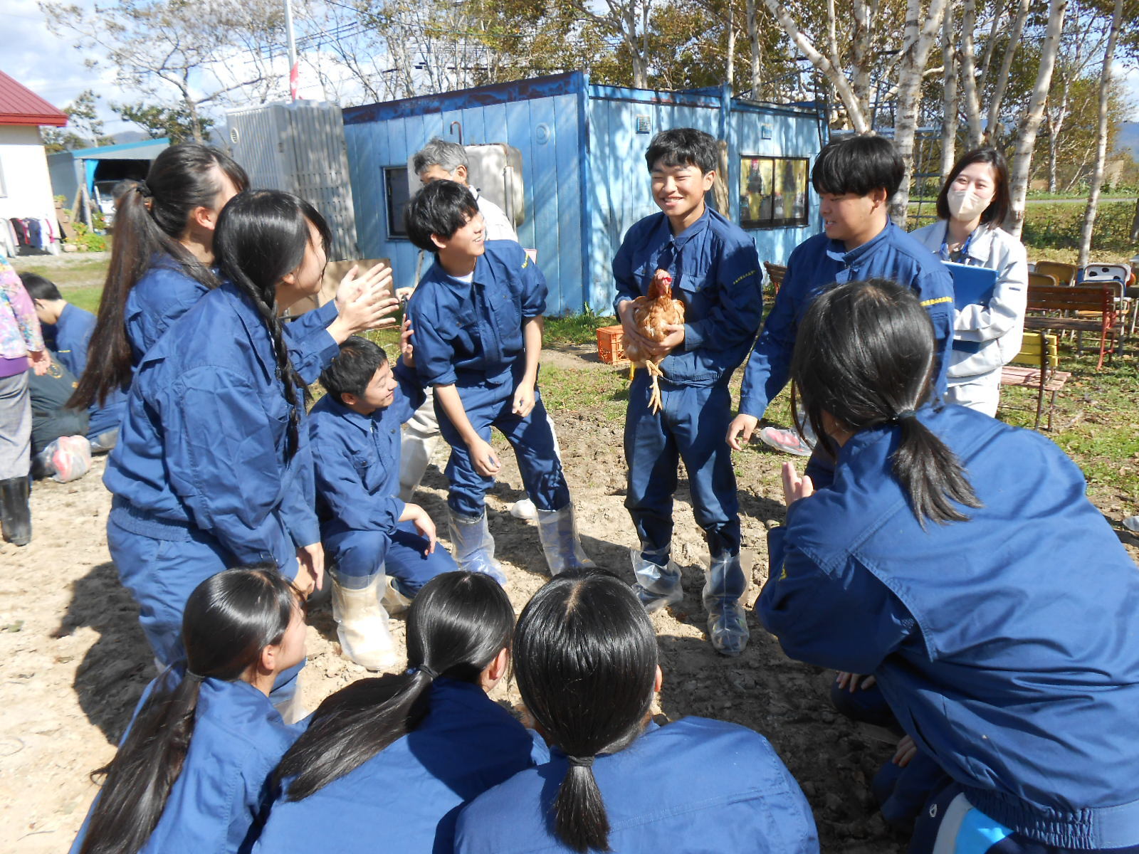 檜山北高校の生徒が大津牧場で飼育されているうさぎ、ニワトリとふれあう様子